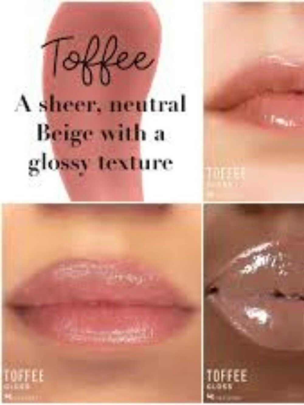 SENEGENCE TOFFEE GLOSS